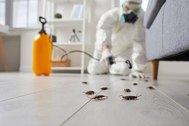 Trusted Rodent Control service in Cherryville, PA - Nex Pest Control